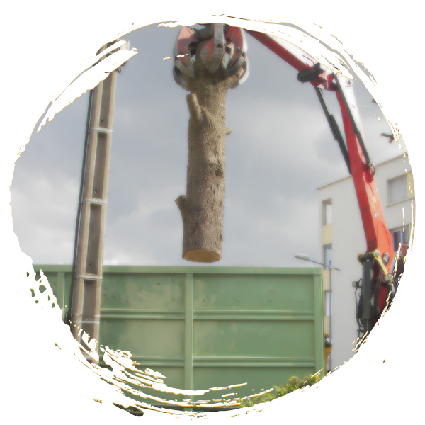 Dessouchage d’arbre avec grue